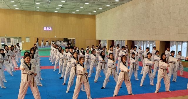 외국인 유학생 태권도 체험