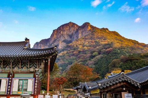 백암산 백학봉과 백양사[사진/백승렬 기자]