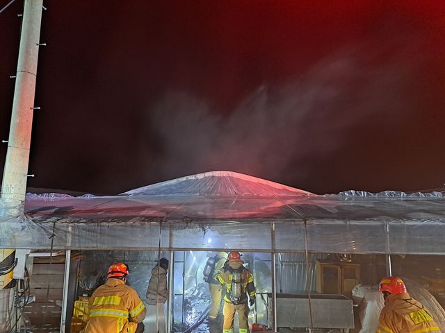 고령군 딸기 양육 비닐하우스 화재