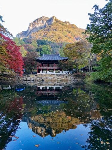 백학봉 아래 쌍계루[사진/백승렬 기자]