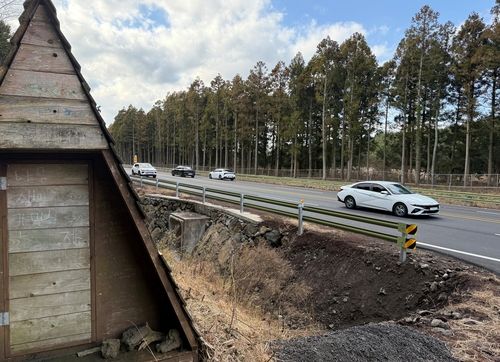 왕복 4차선으로 확장된 제주 비자림로