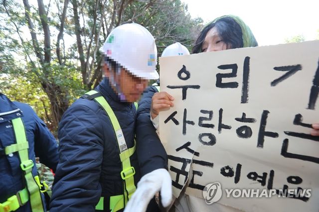 '제주 비자림로 확장공사 반대'