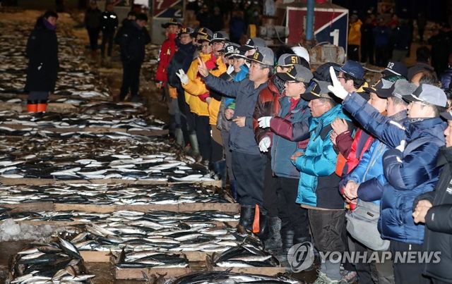 부산 공동어시장 새해 첫 경매