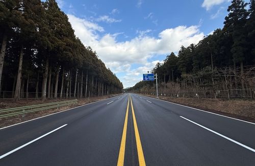 왕복 4차선으로 확장된 제주 비자림로