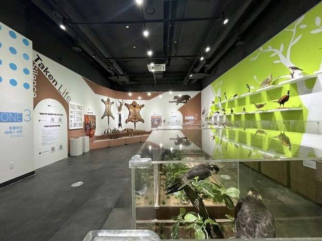 '박제, 시간을 기록하다' 전시 모습 