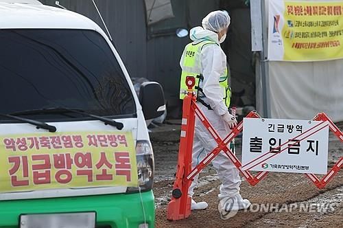 고병원성 AI 방역