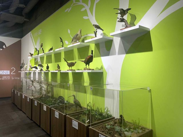 '박제, 시간을 기록하다' 전시 모습 