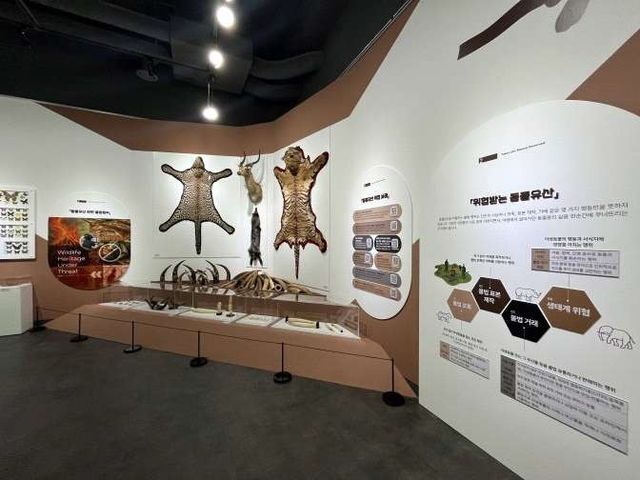 '박제, 시간을 기록하다' 전시 모습 