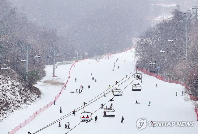 눈 내리는 스키장