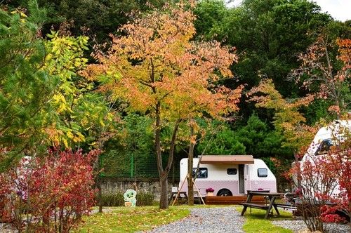 청량산 수원캠핑장