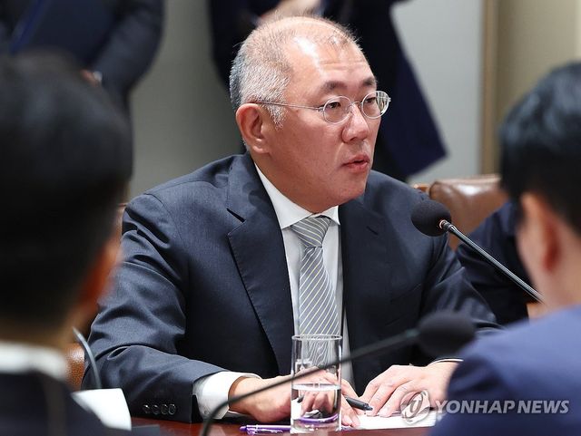 한미 관세협상 후속 민관 합동회의, 발언하는 정의선 회장