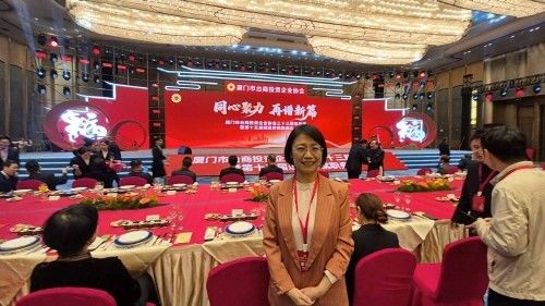 웅샤오링 데만 제1야당 국민당 입법위원