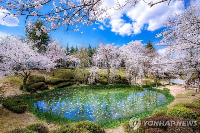 경주 보문관광단지