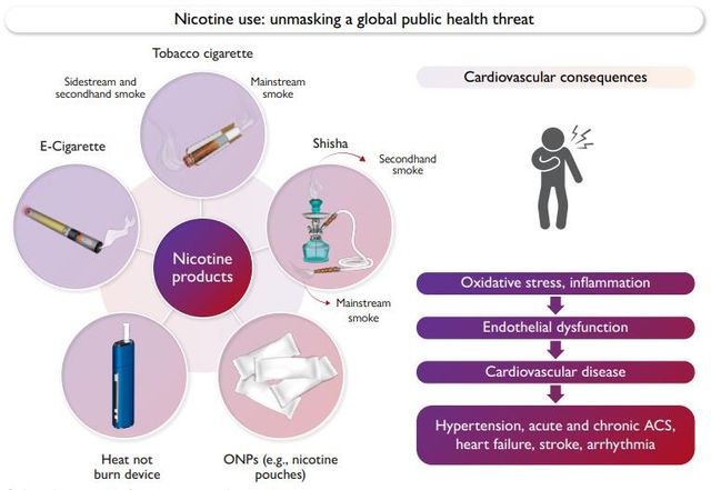 니코틴 함유 제품의 심혈관계 영향