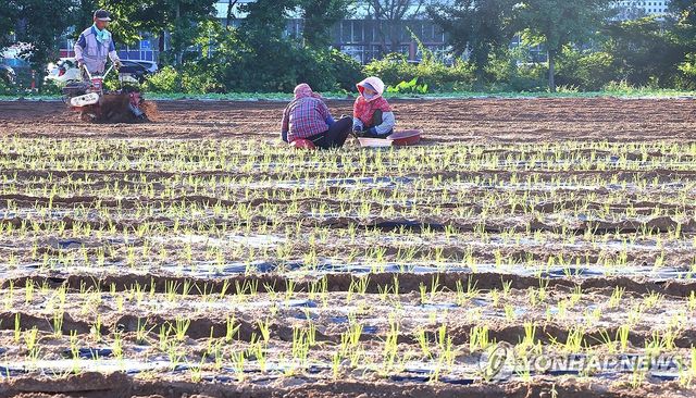 내년 농업인 연금·건강보험료 지원액 인상 - 1