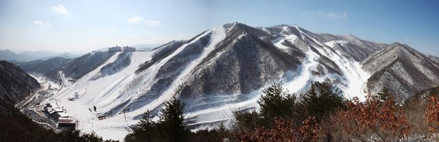 강원지역 스키장