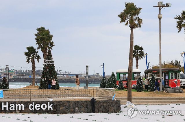 겨울 제주 해변에서 즐기는 크리스마스 분위기