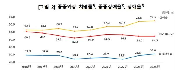 2024년 중증 손상 통계