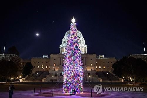 미 워싱턴DC 크리스마스 트리