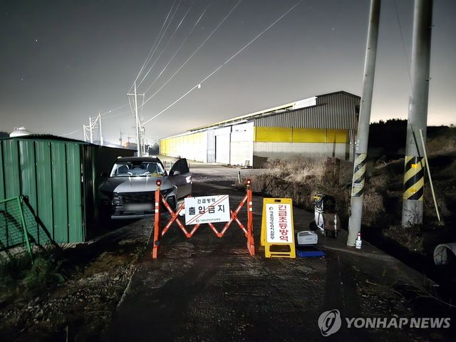 나주 육용오리 농장서 H5형 AI 항원 검출…고병원성 검사