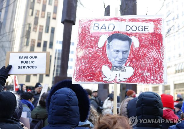 정부효율부에 항의하는 미국 시위대