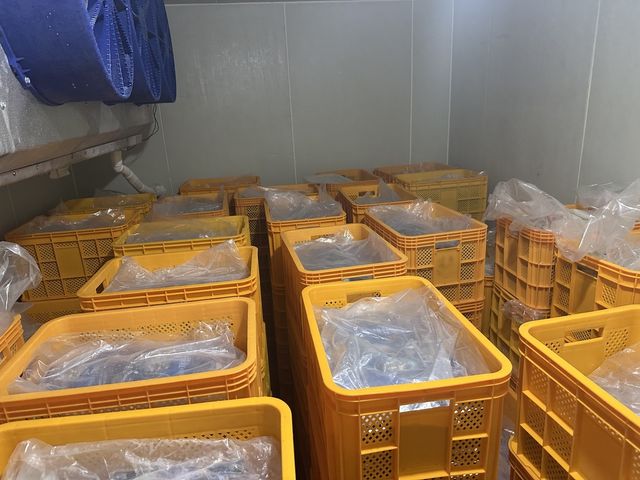 국내산 둔갑한 중국산 재첩