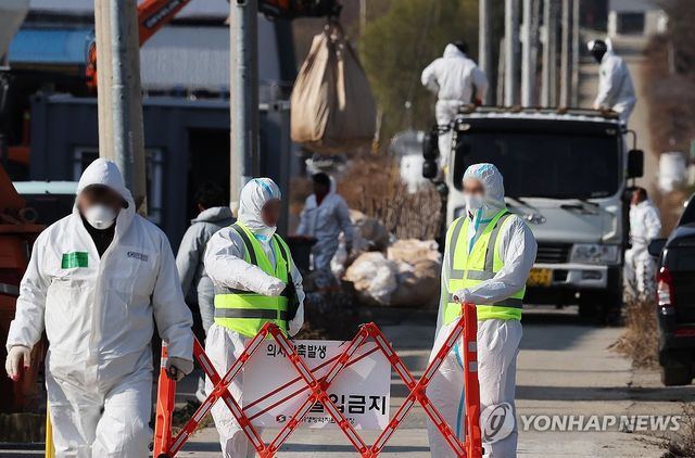 H5형 AI 항원 확인 농장 출입 통제