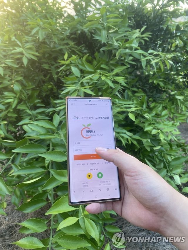 제주 스마트팜 '제빛나'