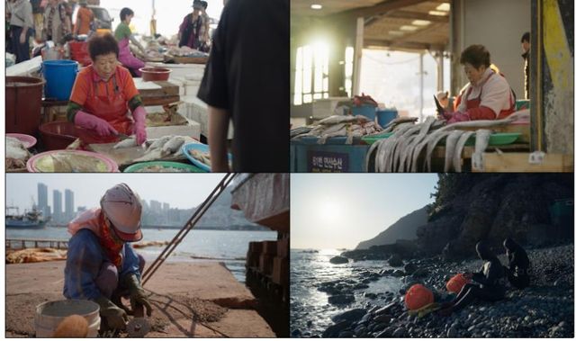 '바다와 함께 살아왔다: 아지매'