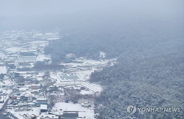설국이 된 춘천