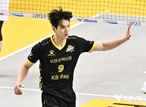 KB손해보험의 임성진