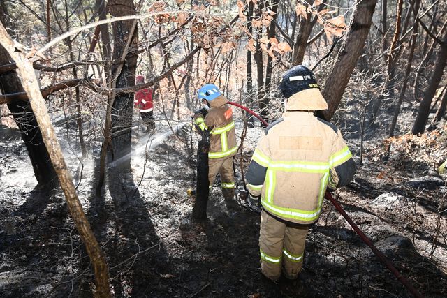 군위군 산불 진화 현장