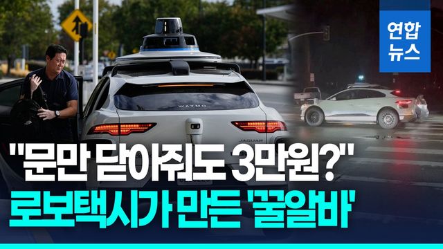 [영상] 사람 없이 달리는 로보택시 그런데…'문 닫아주면 3만원' - 2