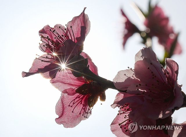 '포근한 햇살 받으며'