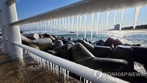 한파 속 해변에 생긴 고드름