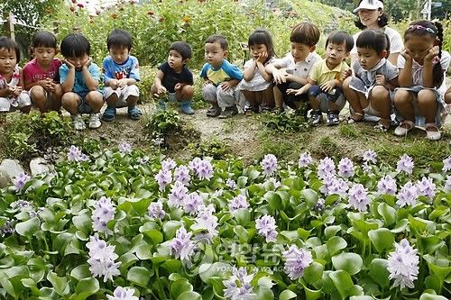 옥잠화를 보는 어린이들