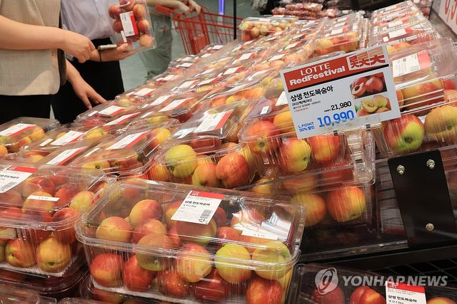 우박 피해 농가 생산 '상생복숭아' 판매