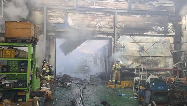 경주 공장 불 끄는 소방대원