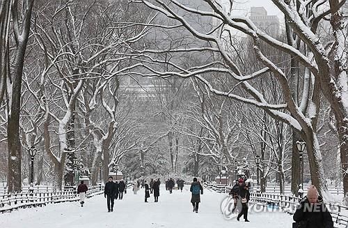 눈 내린 뉴욕시 센트럴파크