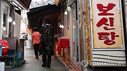 [연합뉴스 자료사진]