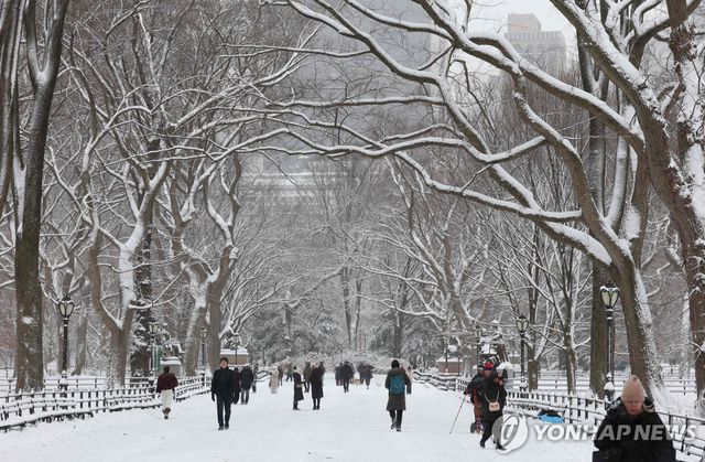 눈 내린 뉴욕시 센트럴파크