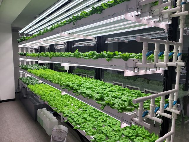 서울 영등포구 도심형 스마트팜