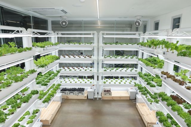 서울 은평구 도심형 스마트팜