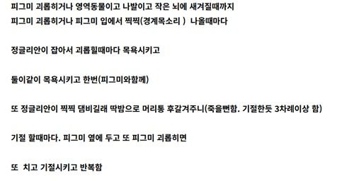 A씨가 네이버 카페에 작성한 글.