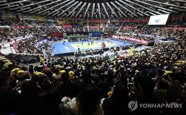 성탄절 배구장 만원 관중