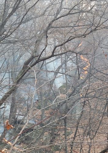 강릉 산불 현장