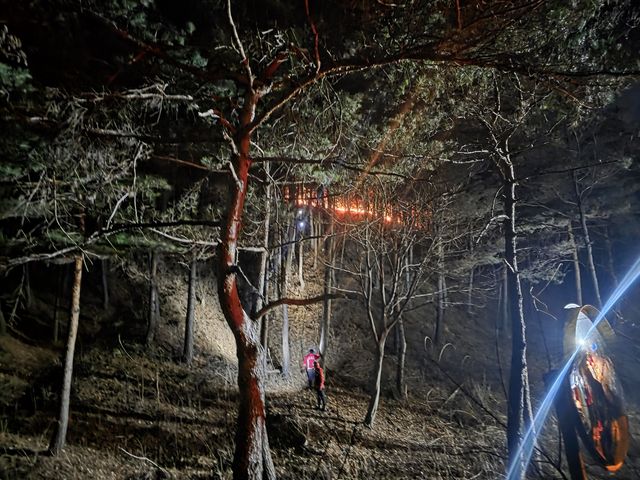 강원 고성군 거진읍 산불