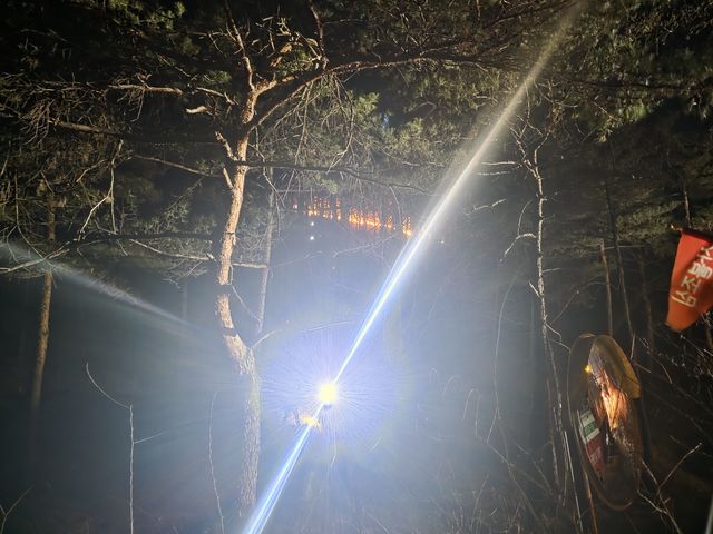 강원 고성군 거진읍 산불
