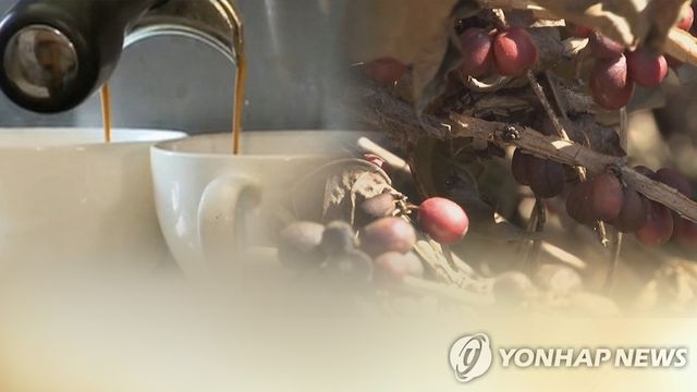 커피 로스팅