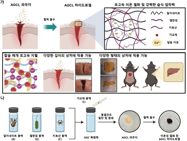 AGCL 파우더 개발 전략과 제작 개략도